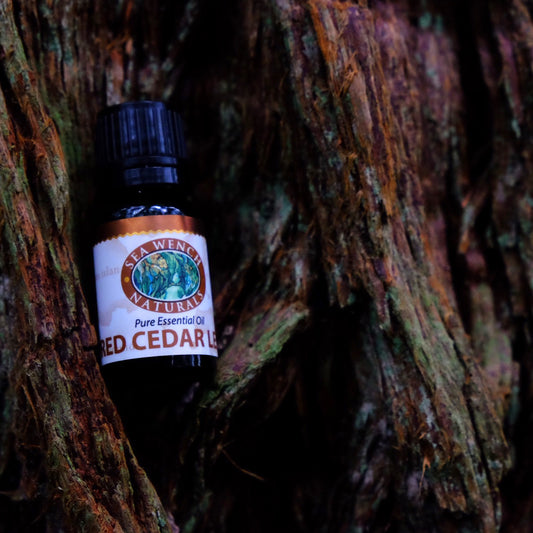 Coastal Red Cedar Leaf Oil