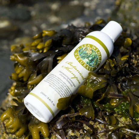 Sea Wench Botanical Shampoo